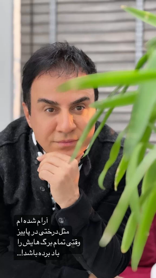 عمو پورنگ