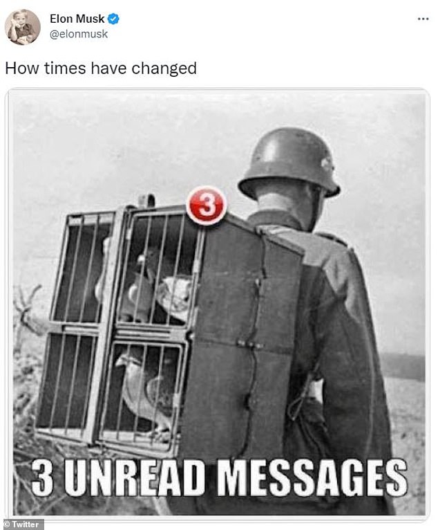 64315167-11403869-image-a-39_1667920987194