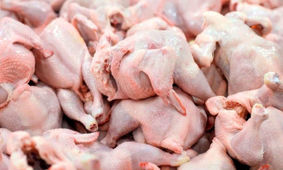 قیمت جدید مرغ اعلام شد / بالاتر از این قیمت نخرید
