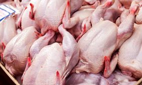 جدول قیمت مرغ امروز در بازار میوه و تره‌بار+ آخرین تغییرات