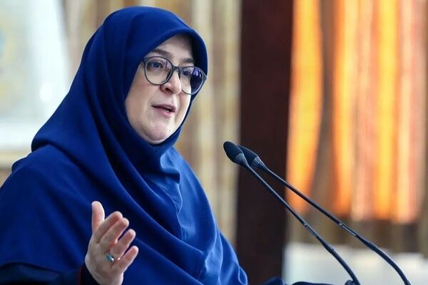 سخنگوی دولت: گزارش وضعیت حجاب به مقام معظم رهبری و رئیس‌جمهور ارائه شده