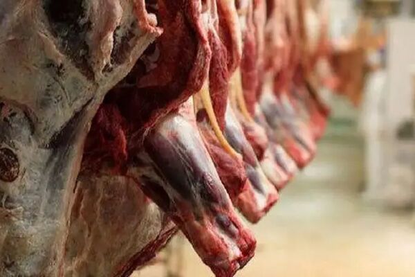 اتفاق مهم در بازار گوشت قرمز