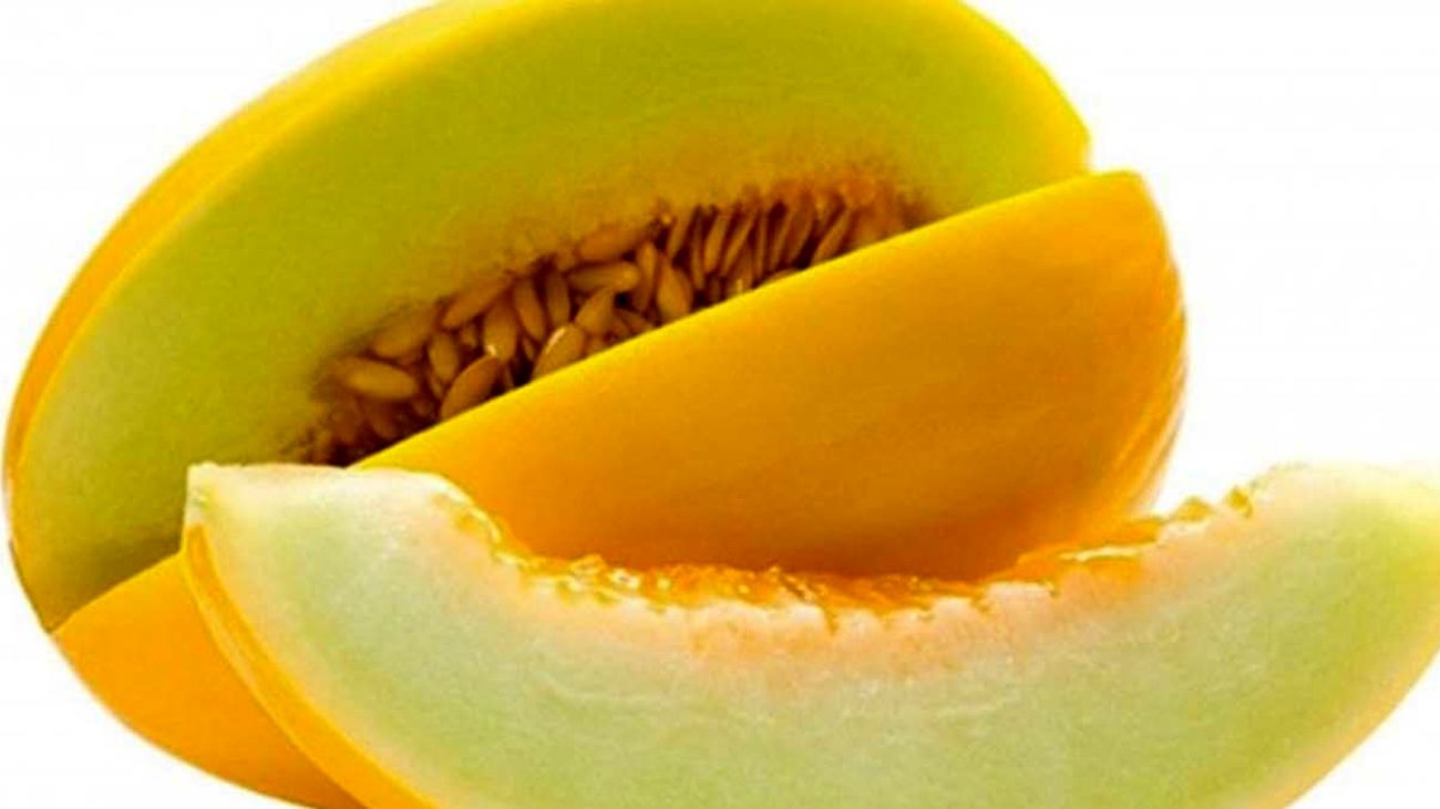 شگفتی در بازار کاشان؛ خربزههای ۲۵ کیلویی +تصاویر