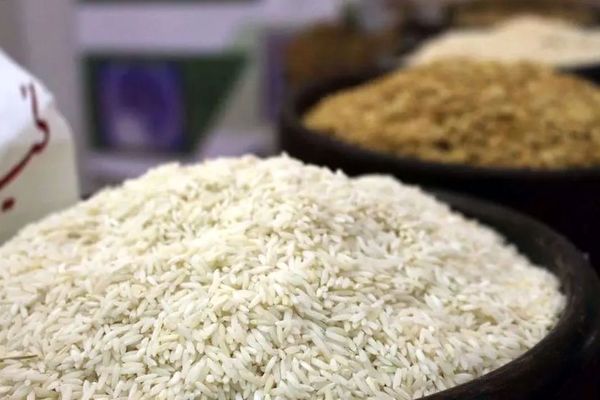 حذف ارز ترجیحی برنج؛ این قیمت‌ها شما را شوکه می‌کند!