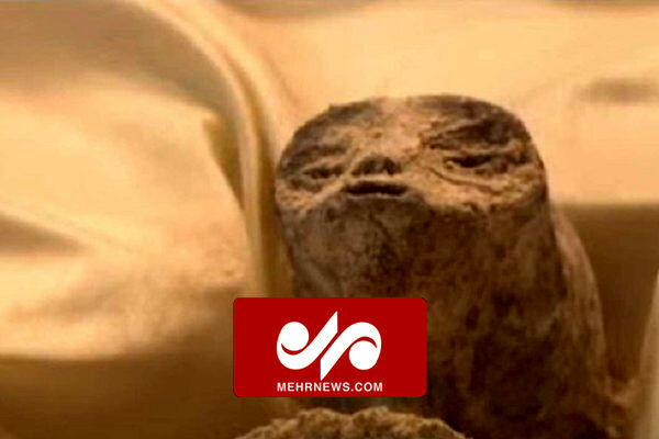 تصاویری از اجساد فرازمینیها در مکزیک