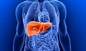 آخرین یافته ها از تبدیل اعضای حیوانات به اعضای بدن انسان