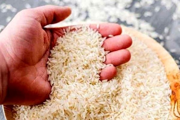 موج ارزانی برنج در راه است؟