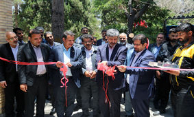 خیز بلند «بارز» برای مهار تورم با فروش آنلاین 