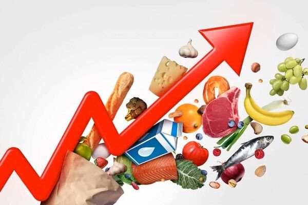 موج جدید تورم در راه است / گوشت، لبنیات، تخم‌مرغ کدام‌یک گران‌تر می‌شود؟ 