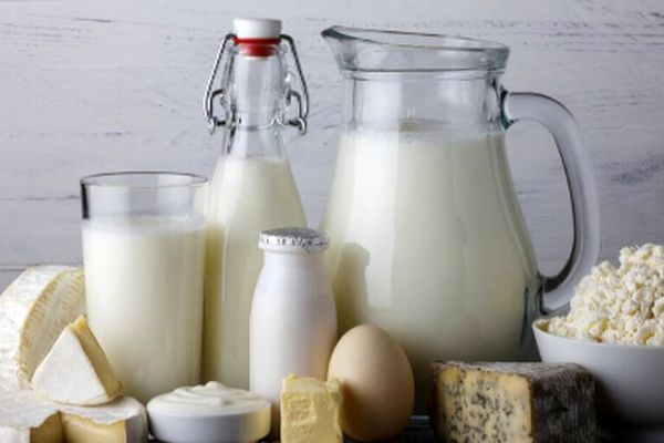 جنگ ۱۲ روزه، قیمت لبنیات را تکان نداد