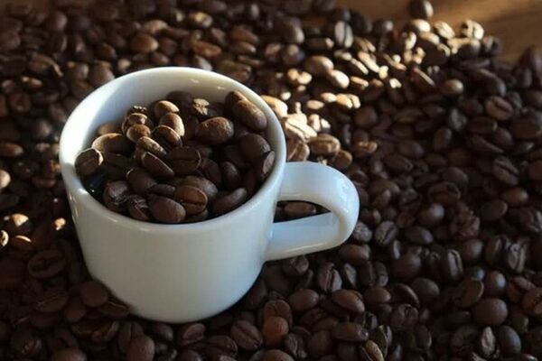 چرا قیمت قهوه بالا مانده است؟