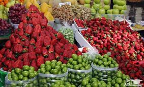 با این کار میوه شب عید گران نمی شود 