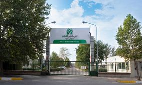 شملی در دو روز پیاپی با صف خرید روبه‌رو شد