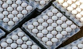 امروز روز جهانی این سفید دوست داشتنی است