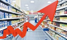 ضعف مدیریت را نباید به پای تحریم نوشت/ هر کسی هرطور دلش می‌خواهد قیمت‌گذاری می‌کند
