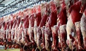 این عوامل باعث گرانی گوشت قرمز ‌شدند
