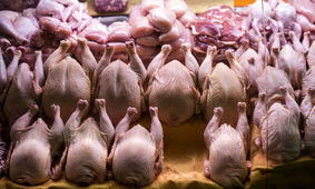 قیمت جدید مرغ در بازار 