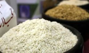 قیمت برنج ایرانی با کاهش ۱۰۰ هزار تومانی همراه شد