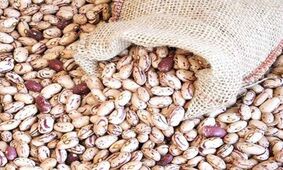 لوبیا چیتی، کالایی لوکس‌تر از گوشت شد!