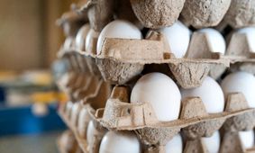 تخم‌مرغ همچنان در مدار گرانی