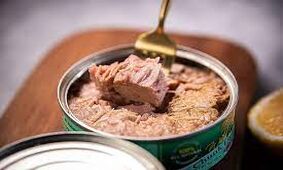 قیمت تن ماهی سر به فلک کشید / ۷۶۰ هزار تومان ناقابل !