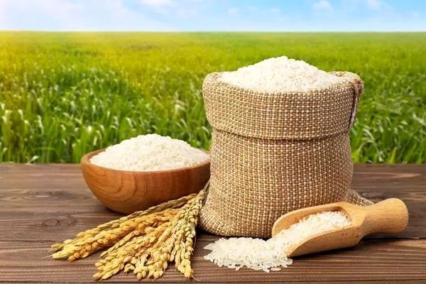 شوک بزرگ به سفره مردم! تصمیم جنجالی نهایی شد.