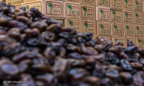 تهدید بزرگ خرمای ایران 