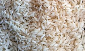 قیمت‌های حیرت‌آور برنج ایرانی و پاکستانی در بازار
