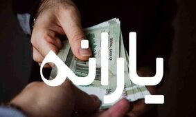 خبر فوری / چرا یارانه برخی از خانوارها کم شد ؟! / حسینی چه گفت ؟!