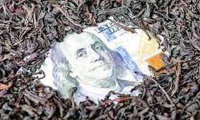 با اختلاس چای دبش چقدر به حقوق بازنشستگان اضافه می‌شد؟
