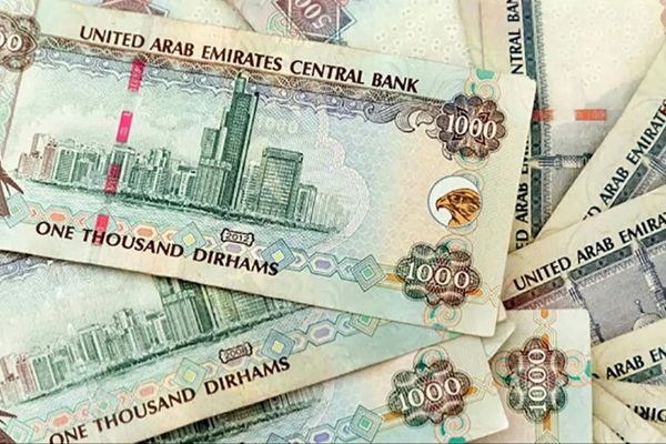 قیمت درهم امروز شنبه 6 دی 1404