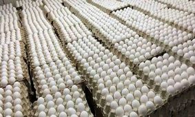 تخم‌مرغ ۴۲۰ هزار تومانی: شوک بزرگ به سفره‌های مردم!