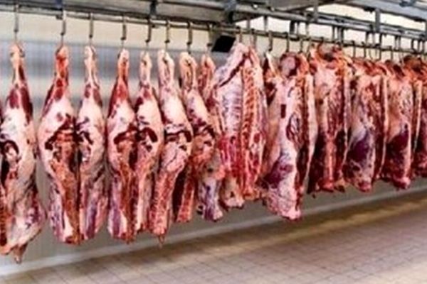 گوشت قرمز ناگهان گران شد/ گوشت گرم به کیلویی چند تومان رسید؟
