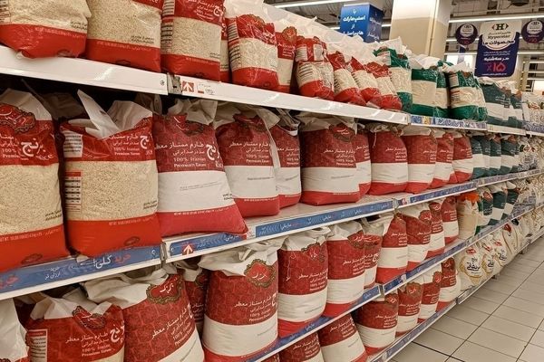 نماینده مجلس افشا کرد: علت عجیب نایاب شدن برنج در بازار