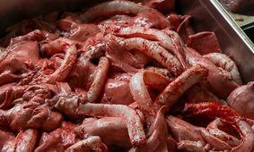 جدیدترین قیمت گوشت قرمز امروز، ۱۶ مرداد ۱۴۰۴ + جدول