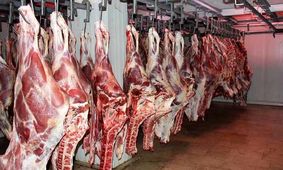 تازه ترین نرخ گوشت در بازار / بیشتر از این قیمت نخرید !