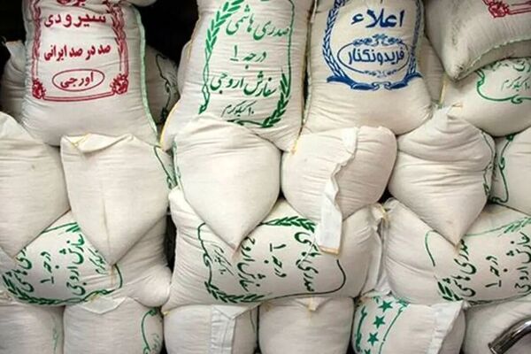 برنج ۳۰۰ هزار تومانی سفره مردم را تهدید می‌کند/ قیمت واقعی برنج ایرانی باید بین ۱۱۰ تا ۱۵۰ هزار تومان باشد