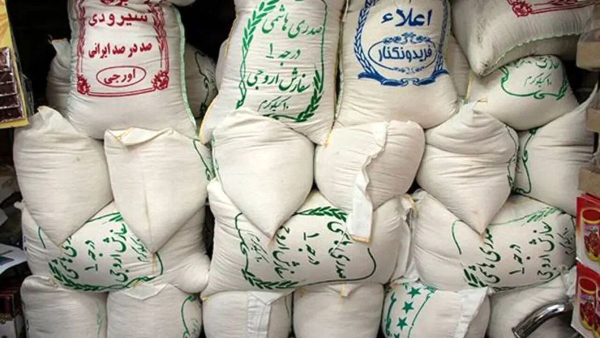  تصمیمی که بازار برنج را تکان می‌دهد / 130 هزار تن برنج روی هوا !