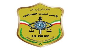راه اندازی پلیس امنیت اقتصادی+فیلم