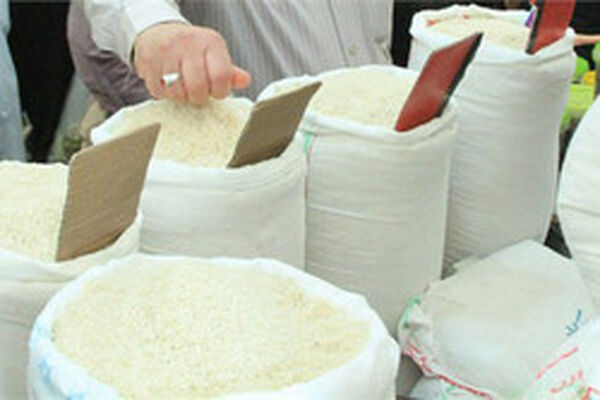 کاهش ۱۰ میلیارد دلاری ارز کالاهای اساسی؛ هشدار درباره تأمین برنج/ ناچاریم واردات کنیم