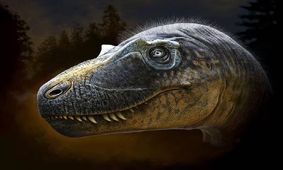 پادشاه اصلی دایناسورها کشف شد
