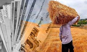 خبر خوش برای گندمکاران؛ اعلام واریزی جدید!