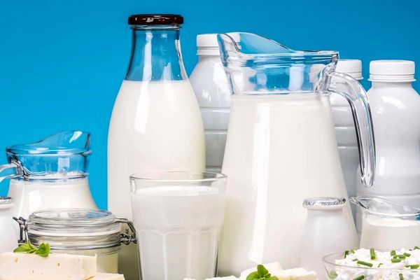  قیمت شیر برای چندمین بار گران شد 