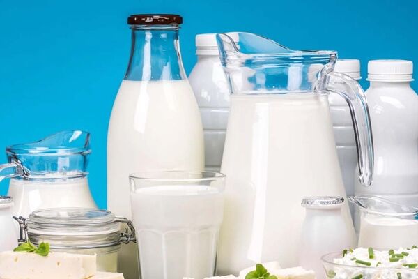  قیمت شیر برای چندمین بار گران شد 