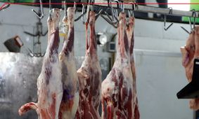 جدیدترین قیمت گوشت قرمز امروز ۱۵ شهریور 1404 + جدول