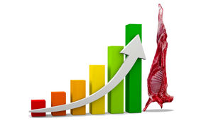 اقلام پروتئینی بر مدار گرانی/ رشد هولناک قیمت گوشت قرمز در یک سال