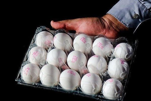 قیمت تخم مرغ اعلام شد؛ آیا باید منتظر افزایش قیمت باشیم؟