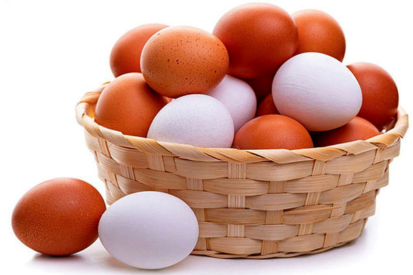  قیمت تخم مرغ در فروشگاه ها و میادین تره بار / بالاتر از این رقم اصلا نخرید! 