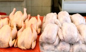 مرغ بخریم یا نخریم؟ بحران بازار مرغ به اوج رسید!