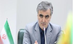 جزئیات اصلاح بانکها مشخص شد/ هر بانک برای یک کار!